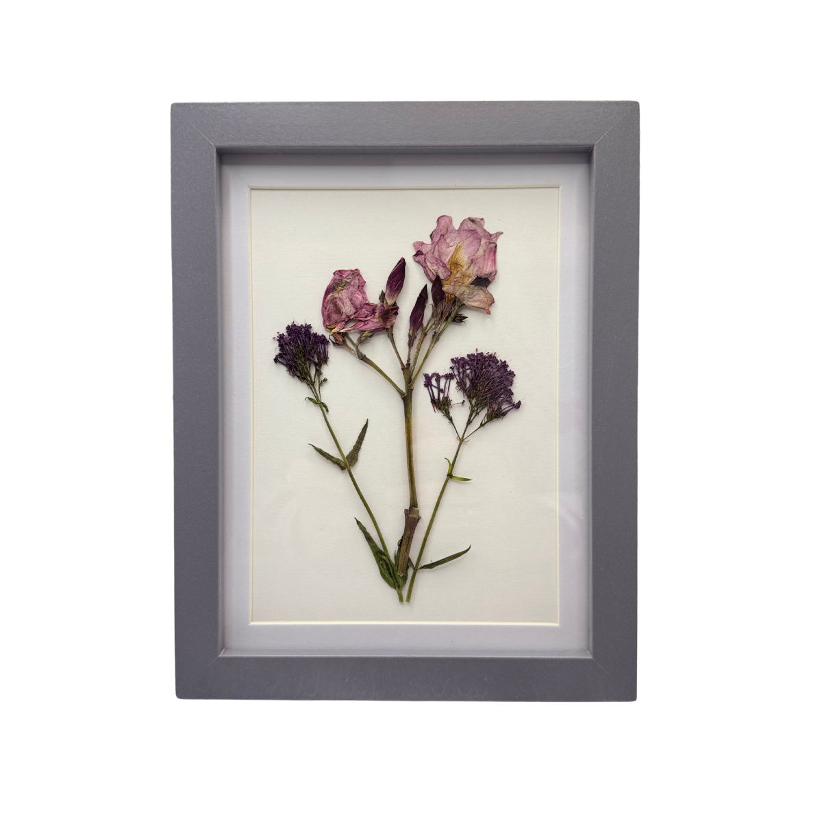 Bruma Floral – Cuadro de Laureles y Limonium