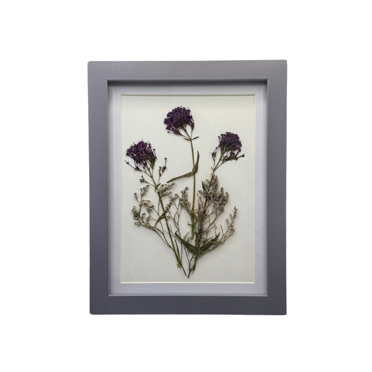 Ecos del Viento – Cuadro de Limonium