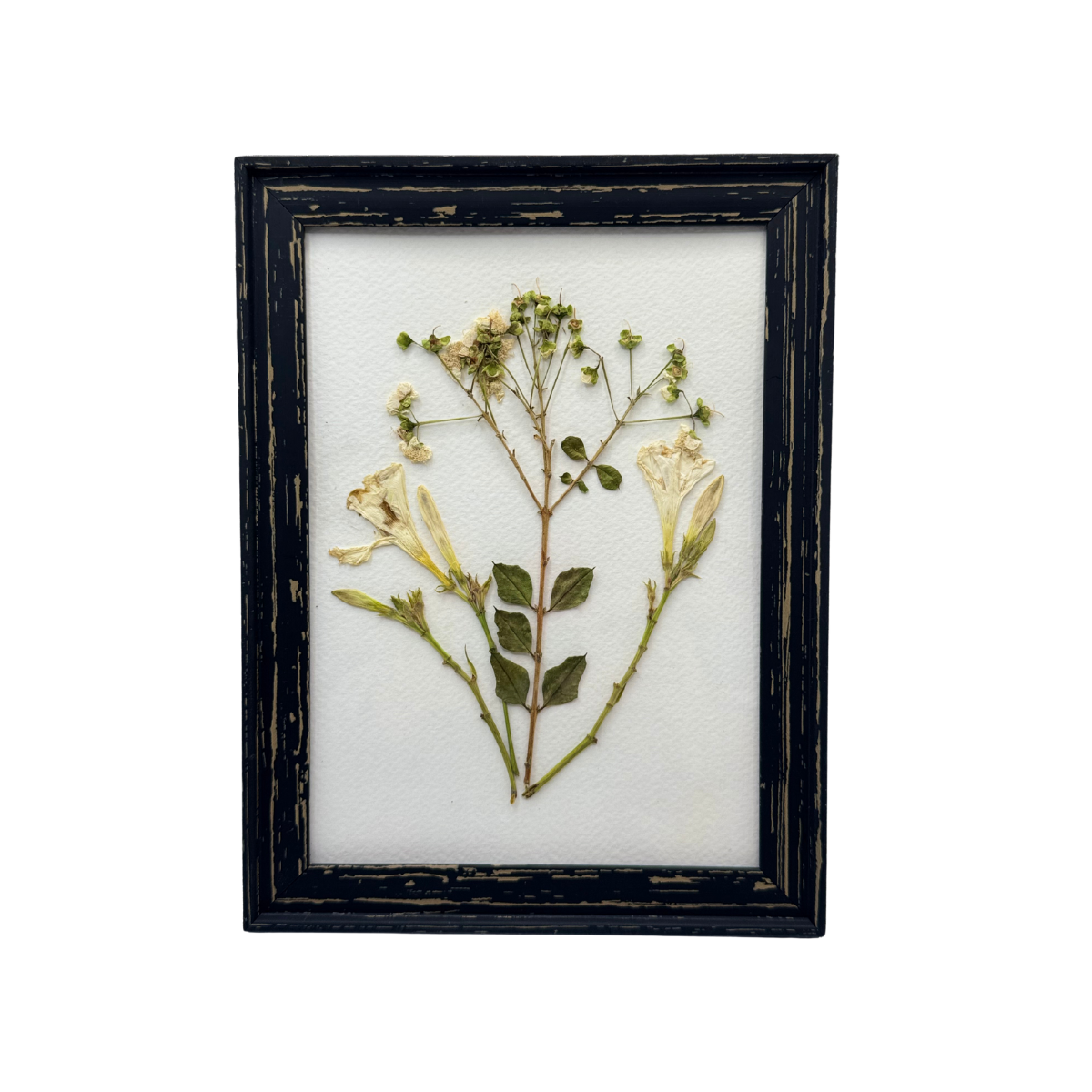 Cuadro de Laureles Blancos