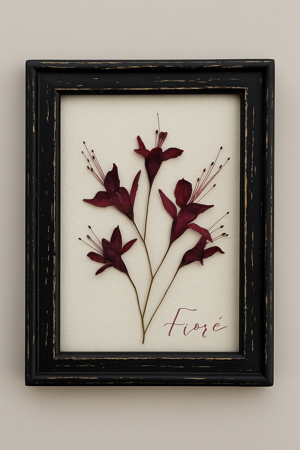 Fucsias del Silencio - Marco Vintage
