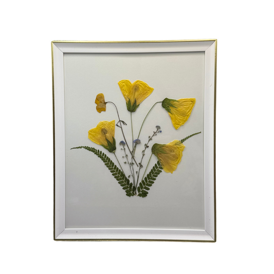 Cuadro Floral Abutilón Amarillo y Helechos